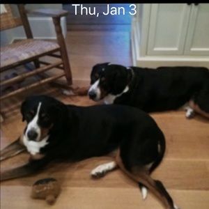 Meet your Posher, Mary